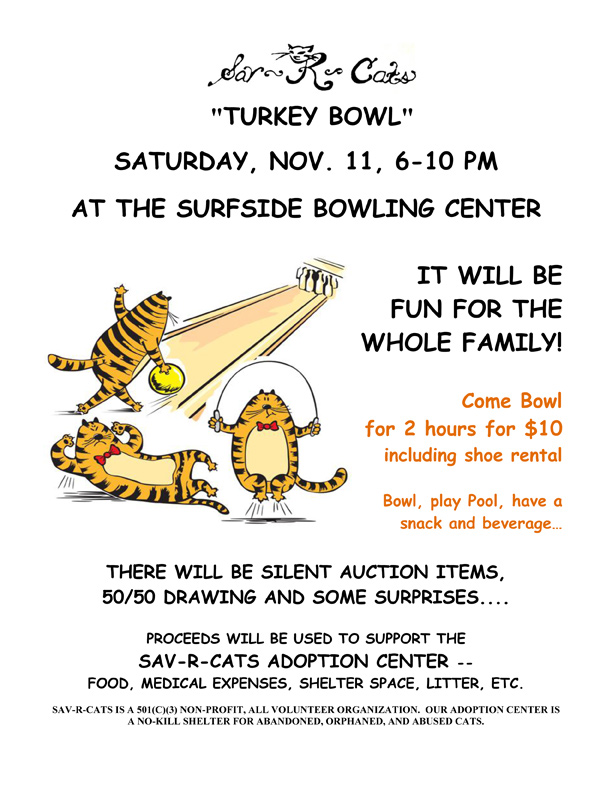 shoe fundraiser flyer